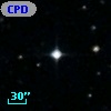 CPD-20  8271