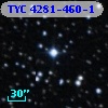 TYC 4281-460-1