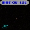 [EM96] COS-1131