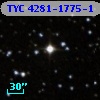 TYC 4281-1775-1