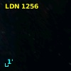 LDN 1256