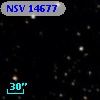NSV 14677
