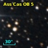 Ass Cas OB   5-