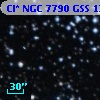 Cl* NGC 7790    GSS    1397