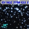 Cl* NGC 7790    GSS    1131