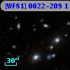 [WF81] 0022-209 1