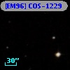[EM96] COS-1229