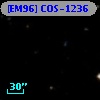 [EM96] COS-1236
