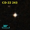 CD-22   243