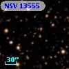 NSV 13555