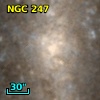 NGC   247