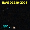 IRAS 01239-2008