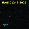 IRAS 01242-2029
