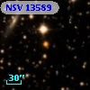 NSV 13589