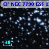 Cl* NGC 7790    GSS    1233
