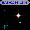 IRAS 02236-1644