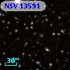NSV 13591