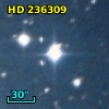 HD 236309