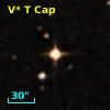 V* T Cap