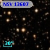 NSV 13607