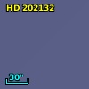 HD 202132