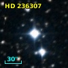 HD 236307