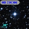 HD 236306