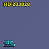 HD 203828