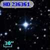 HD 236361