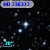 HD 236372
