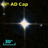 V* AD Cap