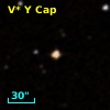 V* Y Cap
