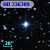 HD 236308