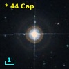 *  44 Cap