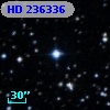HD 236336