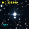 HD 236340