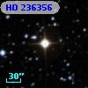 HD 236356