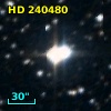 HD 240480