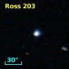 2MASS J21361637-1318344