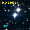 HD 236314