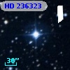 HD 236323