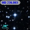 HD 236303
