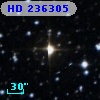 HD 236305