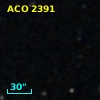 ACO  2391