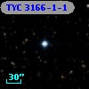 TYC 3166-1-1