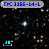 TYC 3166-14-1