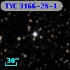 TYC 3166-28-1