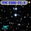 TYC 3166-71-1