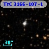 TYC 3166-107-1