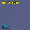 BD-16  6029